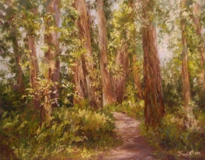 Woodland  Path