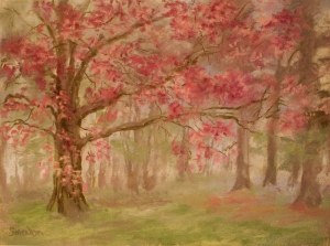Spring Tree in Pink Sudy